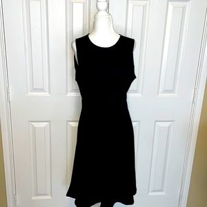 NWOT Little black dress fit and flair black dress